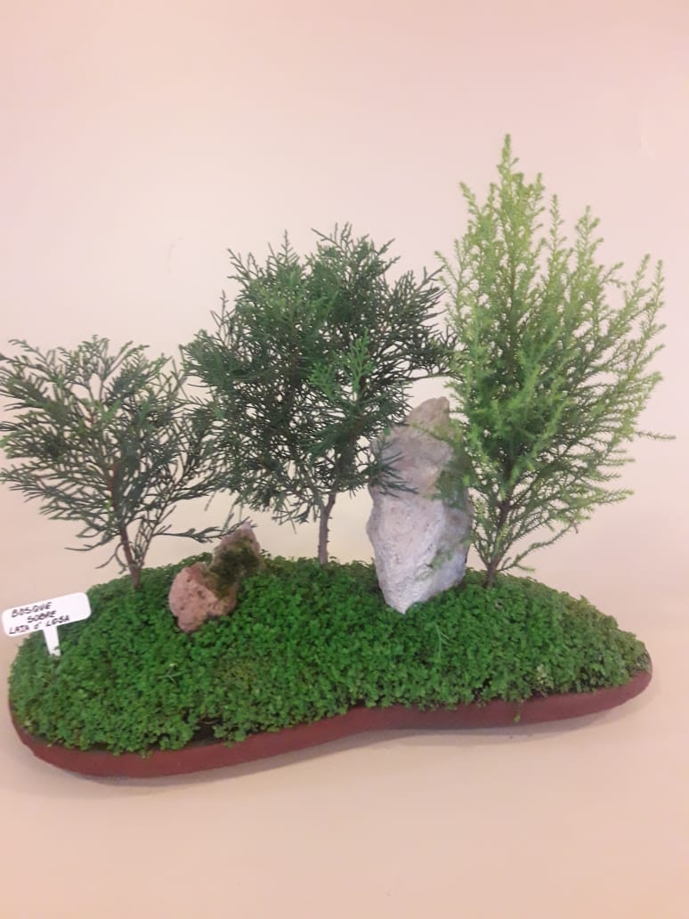 Composición de bonsai en estilo bosque de pinos